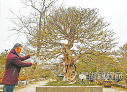 神山公園中心位置將再添新景點