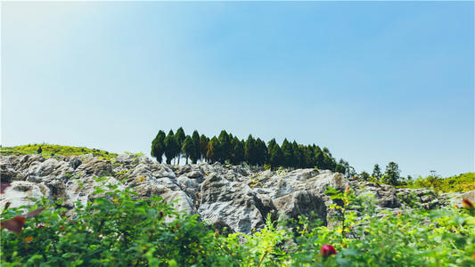 蕪湖景點：丫山花海石林